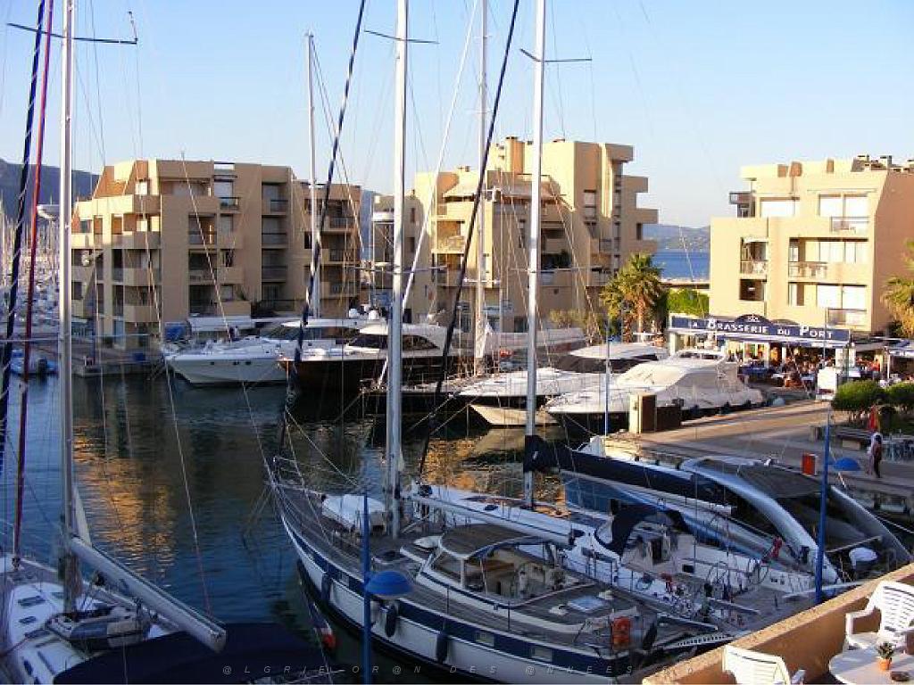 183 D23 BORMES LES MIMOSAS 1_000012.jpg